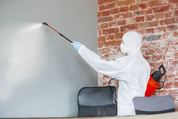 Best Dehumidification Services  in Laie, HI