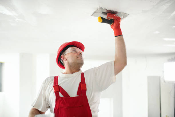 Mold Remediation for Vacation Homes in Laie, HI