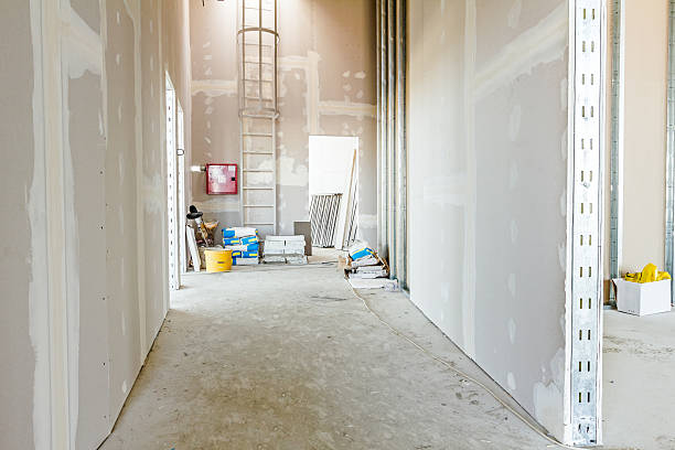 Best Basement Mold Removal  in Laie, HI