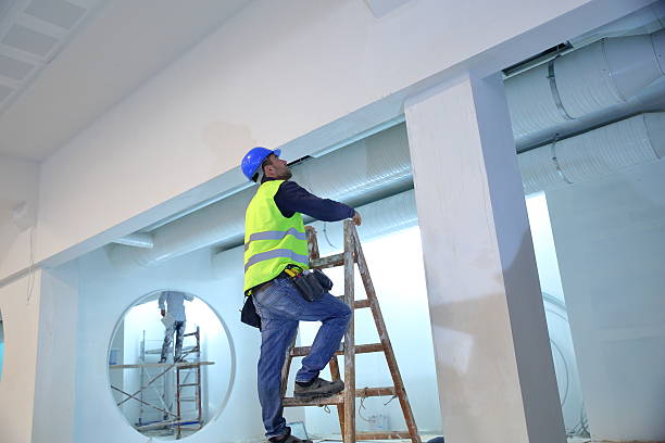 Laie, HI Mold Removal Company