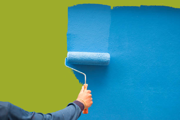 Best Mold Damage Restoration  in Laie, HI